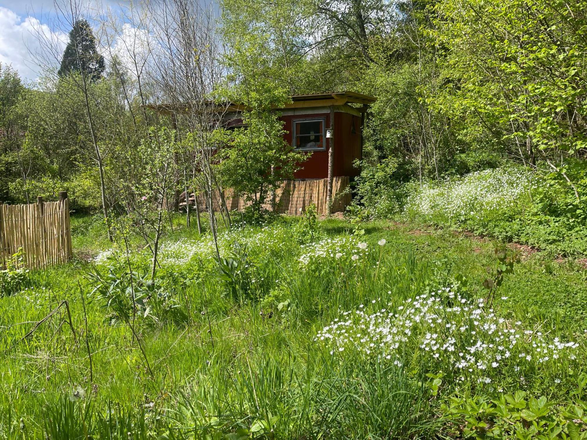 Kuscheliger Zirkuswagen Im Wildgarten Witzenhausen Exterior photo